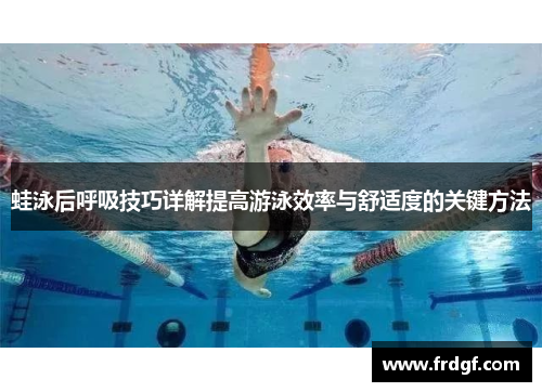 蛙泳后呼吸技巧详解提高游泳效率与舒适度的关键方法