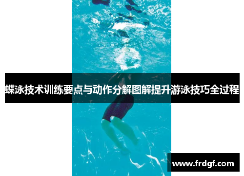 蝶泳技术训练要点与动作分解图解提升游泳技巧全过程