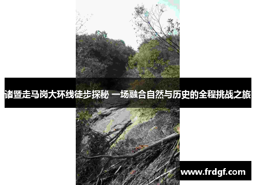 诸暨走马岗大环线徒步探秘 一场融合自然与历史的全程挑战之旅